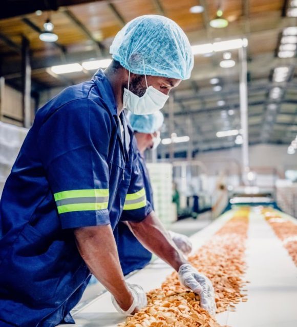 Factory, Manual Worker, Quality Control - Biscuit Factory Worker Stacking Freshly Baked Cookies on the Production Line for Packaging