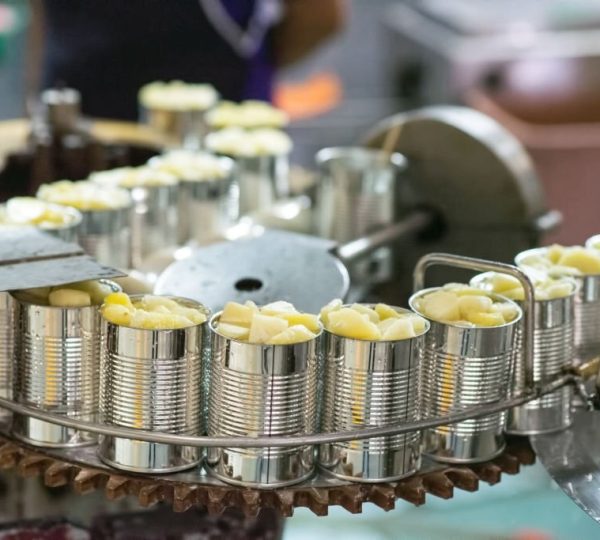 A shot of canned pineapples in production line on conveyor belt awating to be seamed by can seamer. This shot was taken in Pranburi (30km from Hua-Hin) district, Prachuap Khiri Khan Province, Thailand, Southeast Asia